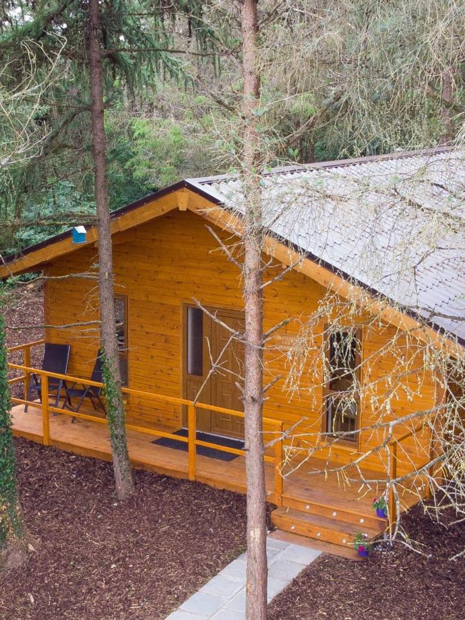 Limerick Junction Butterfly Cabin מראה חיצוני תמונה