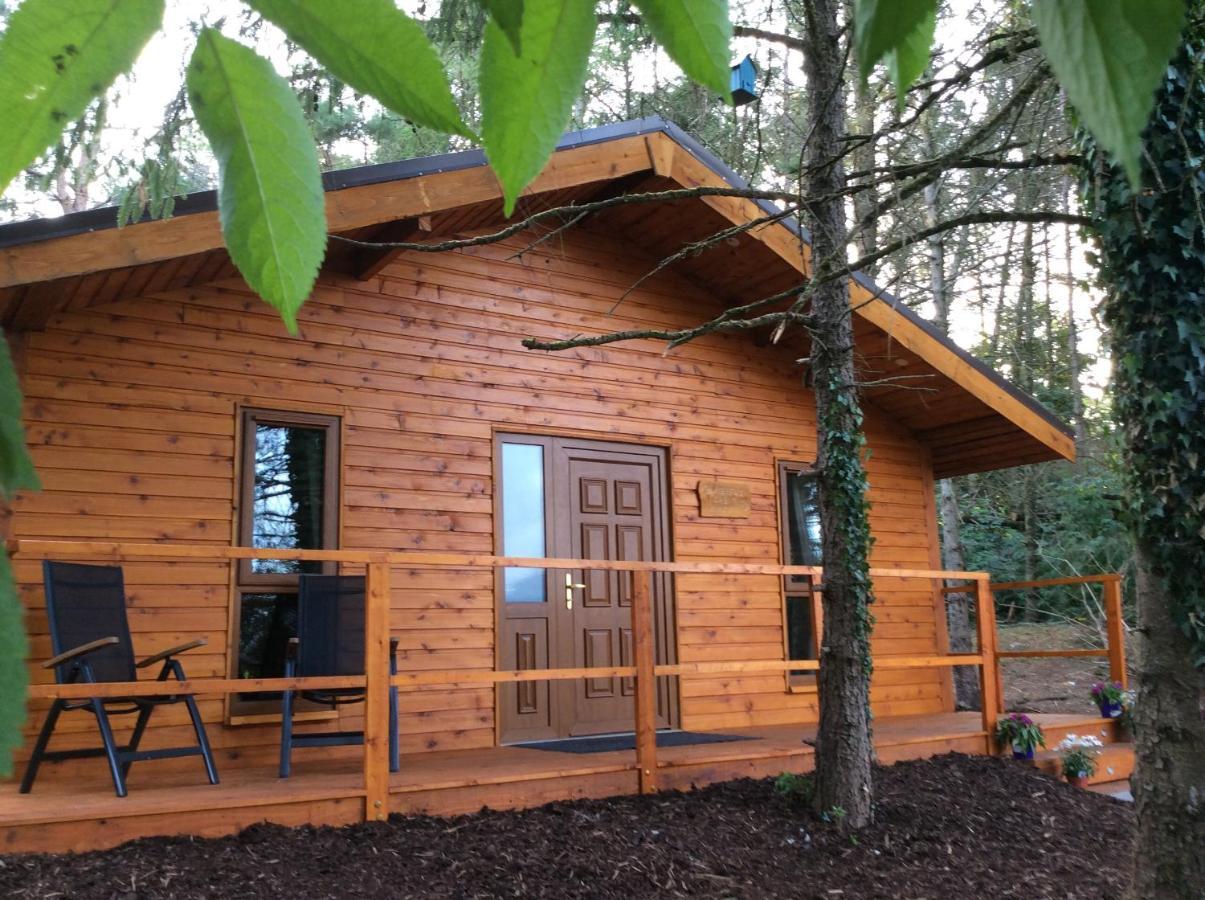 Limerick Junction Butterfly Cabin מראה חיצוני תמונה