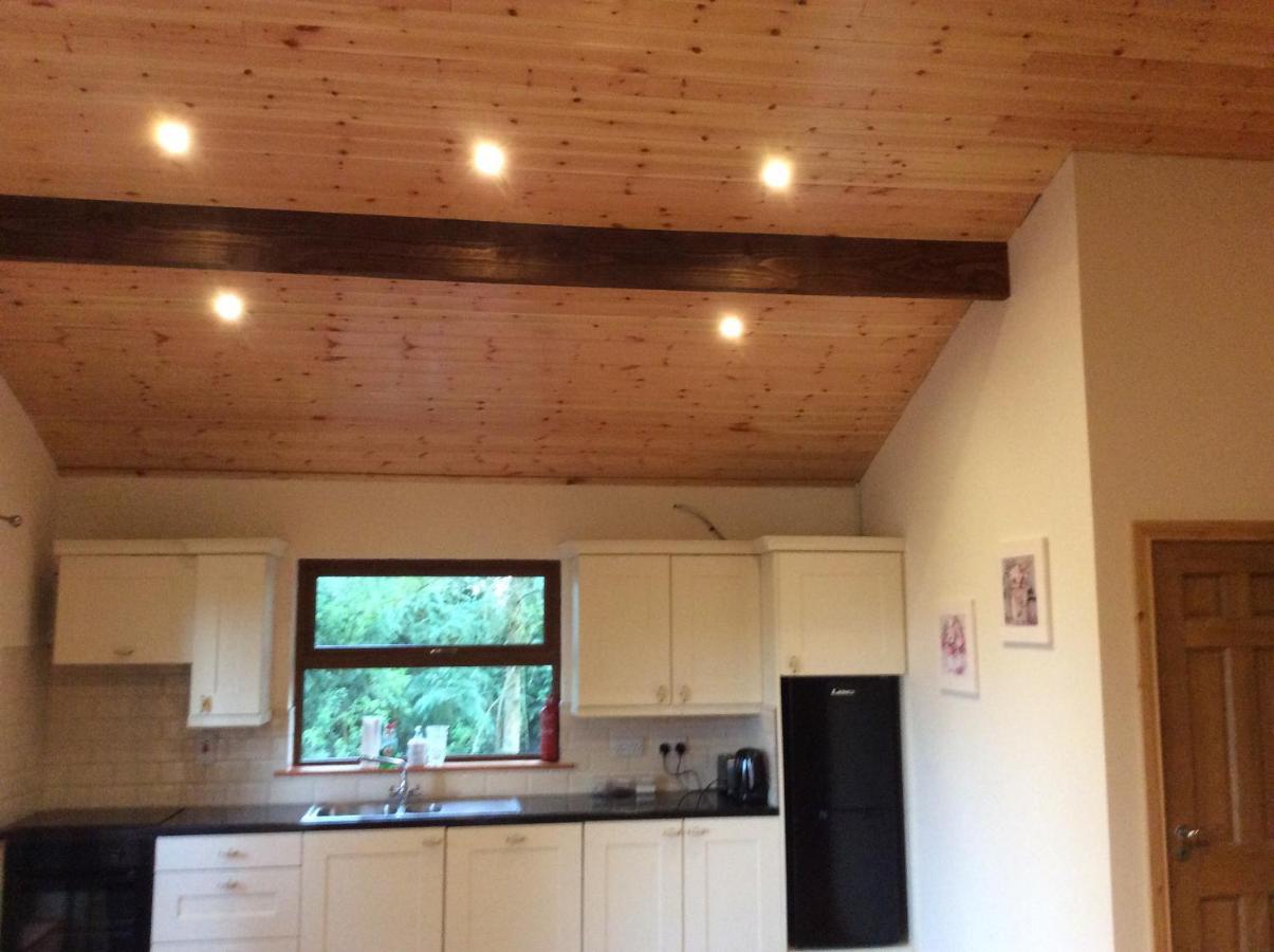 Limerick Junction Butterfly Cabin מראה חיצוני תמונה