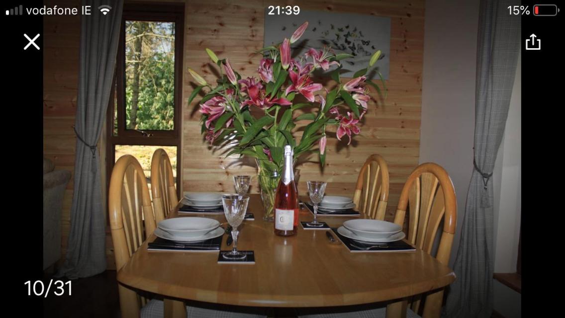 Limerick Junction Butterfly Cabin מראה חיצוני תמונה