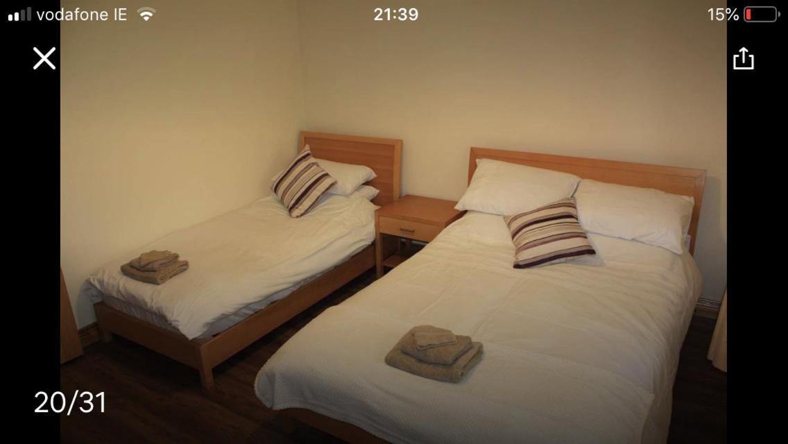 Limerick Junction Butterfly Cabin מראה חיצוני תמונה