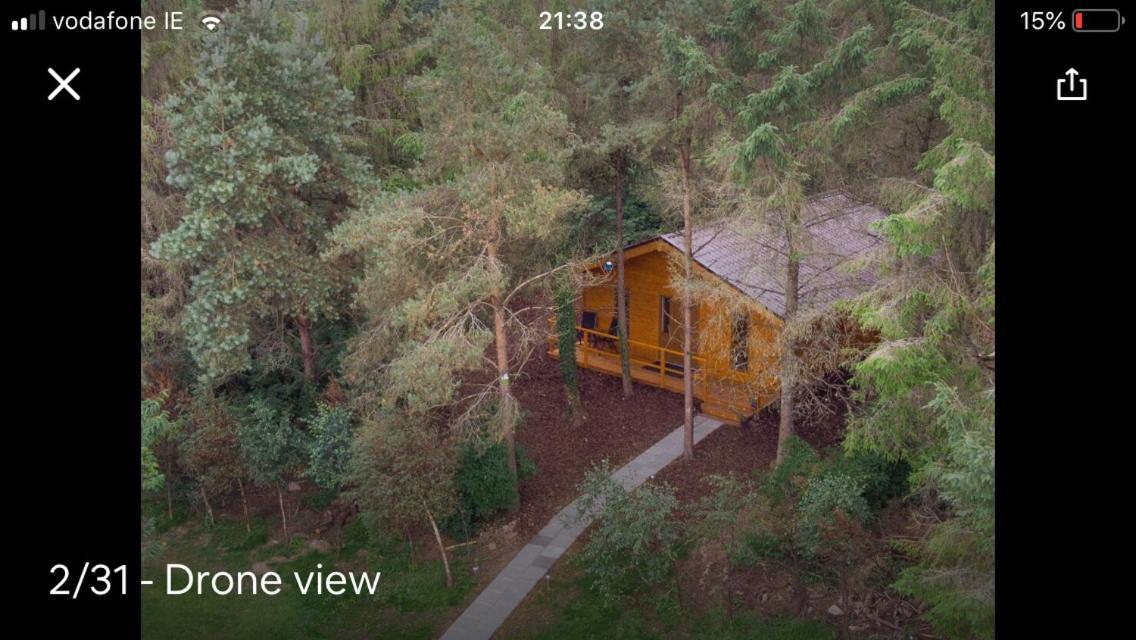 Limerick Junction Butterfly Cabin מראה חיצוני תמונה